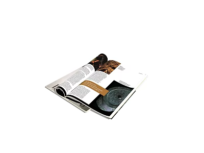 Open Book Magazine Pages Displaying Text Images And Rich Detailed Content 3d model