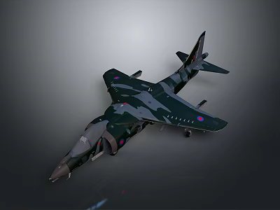 Military Airplane Model With Camouflage Paint And Detailed Wings Tail Markings 3d model
