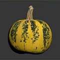 Fresh Yellow And Green Spotted Pumpkin As Seasonal Autumn Vegetable On Dark Background