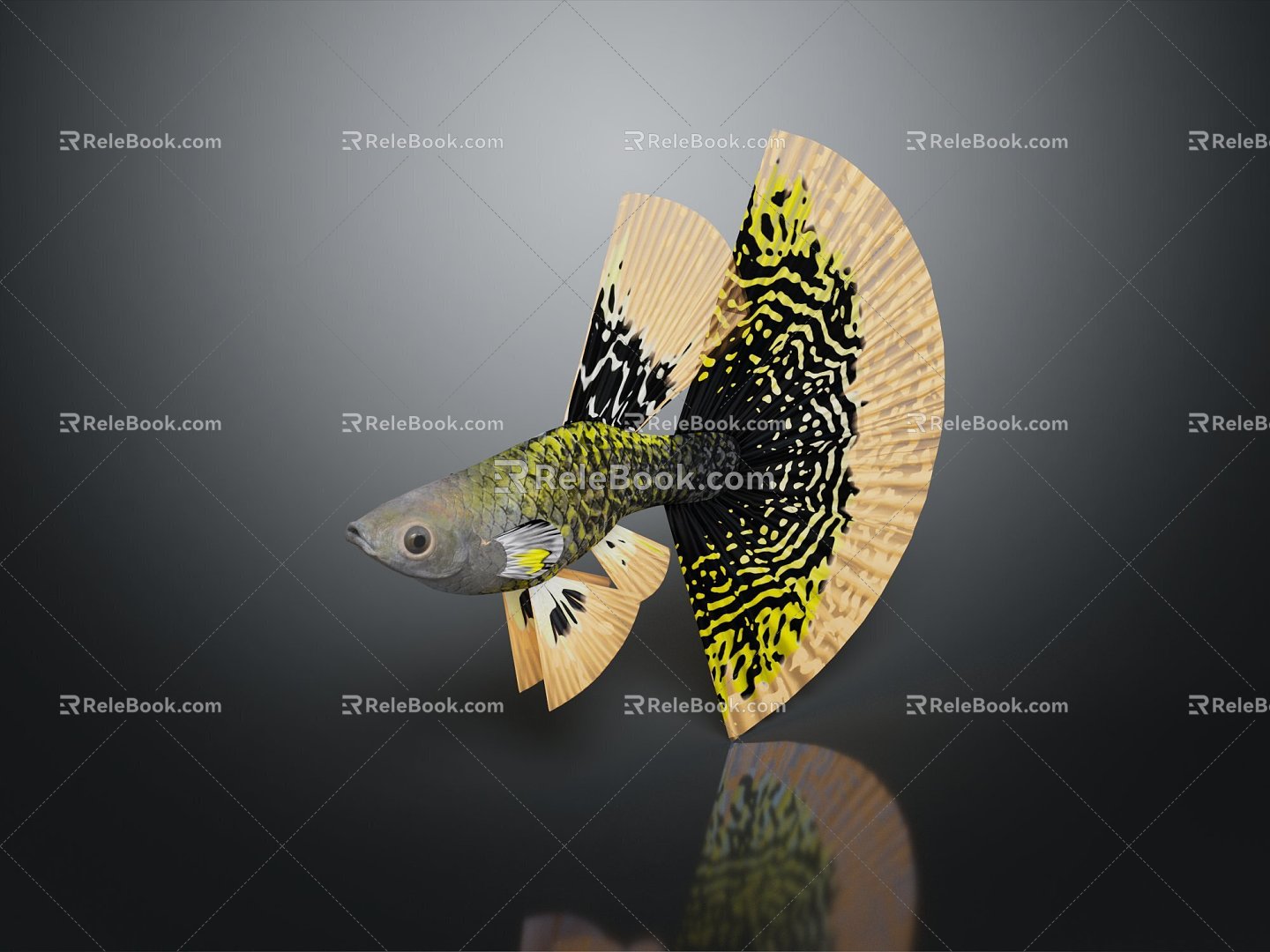 Modern Guppy Fish Blue Guppy Tropical Fish Ornamental Fish 3d model