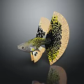 Vibrant Aquatic Fish with Yellow and Black Patterned Flowy Decorative Tail Design