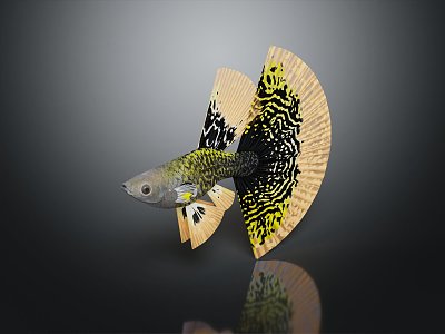 Modern Guppy Fish Blue Guppy Tropical Fish Ornamental Fish 3d model