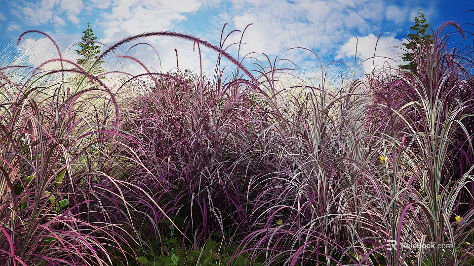 Tall Purple and White Ornamental Grasses Swaying Under Clear Blue Sky with Green Trees 3d model 