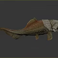 Fantasy Armored Fish Creature 3D Render With Open Mouth And Textured Orange Gray Body