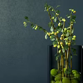 Elegant White Ceramic Plate With Green Fruits Branches And Glass Vases On Dark Blue Table