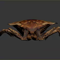 Detailed Brown Wooden Beetle Model With Realistic Body Texture And Legs
