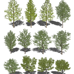 Modern Tree Landscape Arbor Landscape Big Tree 3d model