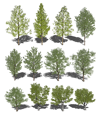 Modern Tree Landscape Arbor Landscape Big Tree 3d model