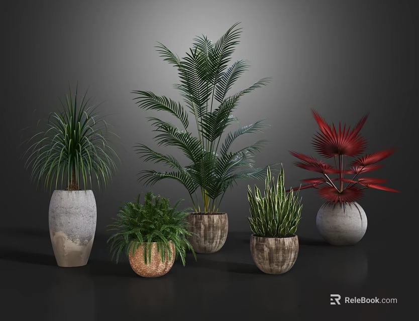 Various Potted Plants With Different Leaf Shapes And Decorative Ceramic Pots 3d model 