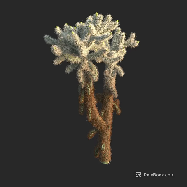 Branching Cactus Plant With White Spines And Green Brown Stems 3d model 