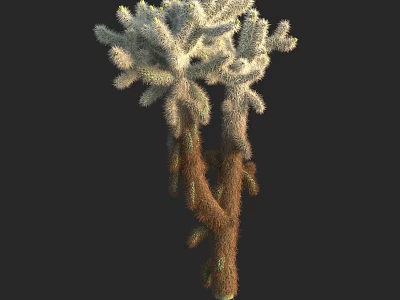 Branching Cactus Plant With White Spines And Green Brown Stems 3d model