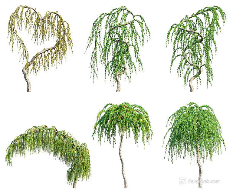 Distinct Weeping Trees with Various Branch Shapes and Green Yellow Foliage 3d model 
