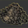 Unique Honeycomb Shaped Object With Hexagonal Holes And Natural Brown Black Tone