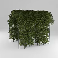 Green Vine Covered Garden Archway With Lush Leaves And Natural Design