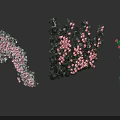 Lush Flowering Vines With Pink And Red Blooming Flowers In Vibrant Bloom