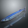 Catfish Carp Sturgeon Bass Freshwater Fish Various Carp Grass Carp Crucian Carp 3d model