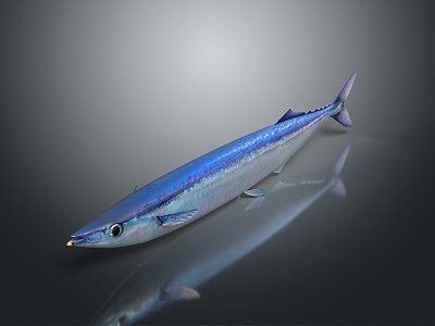 Catfish Carp Sturgeon Bass Freshwater Fish Various Carp Grass Carp Crucian Carp 3d model