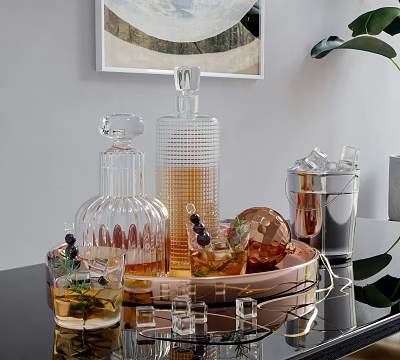 Stylish Decorative Ornament Set With Glass Decanters Tray Ice Cubes Metal Containers And Green Leaves 3d model