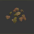Wooden Stone Pieces with Green and Red Moss Scattered on Dark Background Natural Texture