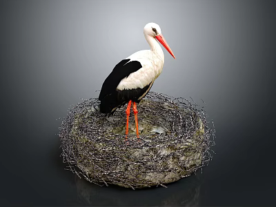 Stork With White And Black Plumage Standing In Natural Nest On Dark Background 3d model