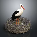 Stork With White And Black Plumage Standing In Natural Nest On Dark Background