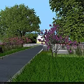 Garden Landscape Design With Gray Pathway Green Lawn Purple Flowering Trees Stones And Shrubs