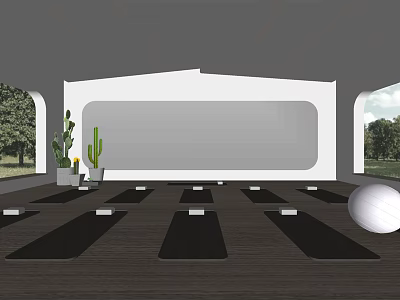 Spacious Yoga Studio With Aligned Mats Yoga Ball Green Plants And Natural Light 3d model