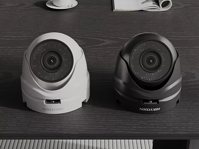 White And Black Surveillance Cameras As Public Facility 3d model