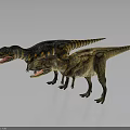 Two Realistic Colorful Dinosaurs With Open Mouths Standing On Gray Surface 3d model