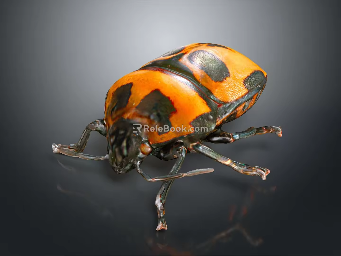 Beetle Scarab Insect Animal Game Animal Cartoon Animal 3d model