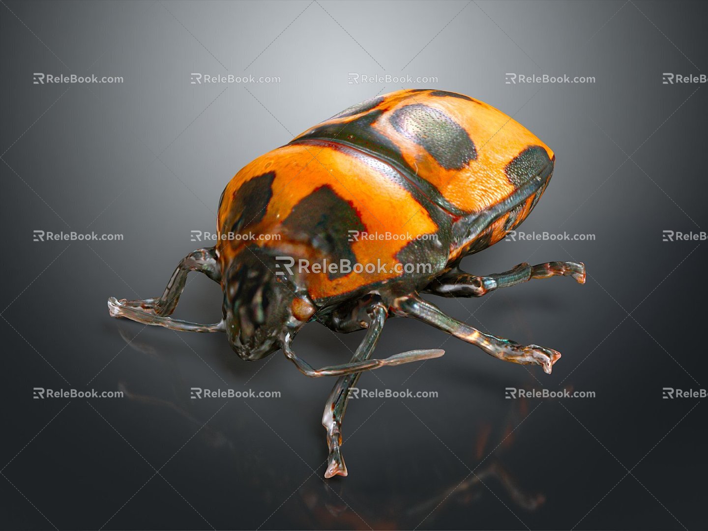 Beetle Beetle Scarab Insect Animal Game Animal Cartoon Animal Animal 3d model