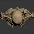 Human Skeleton Anatomical Model Displaying Body Organs And Bone Structure
