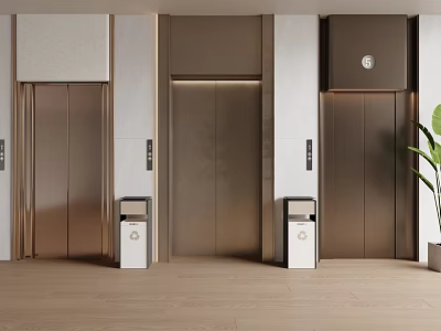 Modern Elevator Interior Design With Three Metal Doors Wooden Flooring And Side Plants 3d model