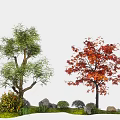 arbor landscape tree modeling tree big tree red maple courtyard tree 3d model