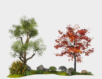 arbor landscape tree modeling tree big tree red maple courtyard tree 3d model