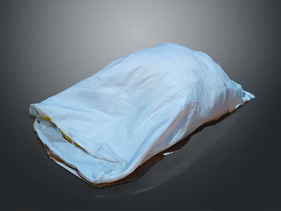 Durable White Cloth Storage Bag For Home Daily Use And Organization 3d model