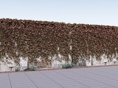 Vines Covering Stone Wall With Green Brown Leaves Small Plants At Base Gray Tiled Ground 3d model