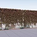 Vines Covering Stone Wall With Green Brown Leaves Small Plants At Base Gray Tiled Ground