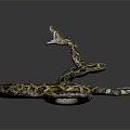 Modern snake python reptile cold-blooded animal 3d model