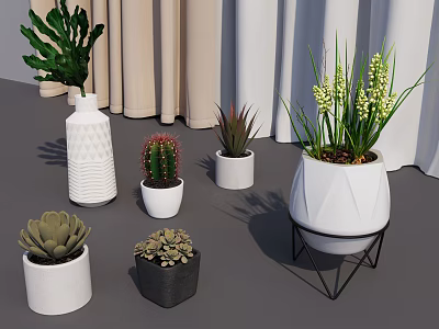 Indoor Potted Plants Display With Cactus Succulents And Geometric White Pots Near Curtains 3d model