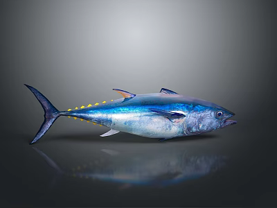 Shiny Blue and Silver Aquatic Animal Tuna with Yellow Spots on Dark Background 3d model