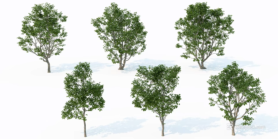 Arbor Trees in Various Forms with Green Leaves on White Background 3d model