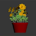 Potted Plant With Yellow Flowers And Green Leaves In Red Pot
