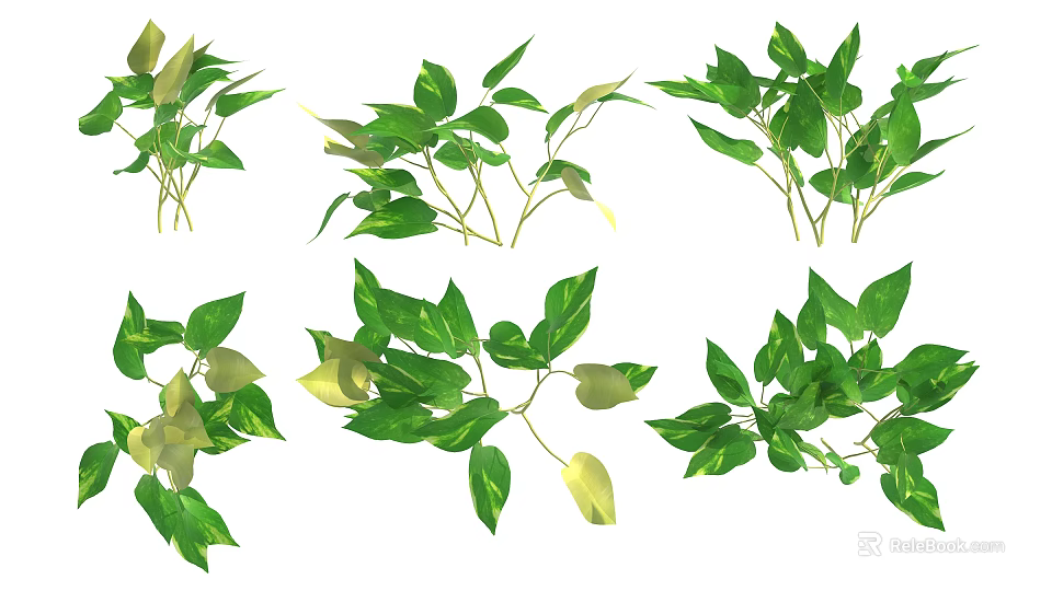 Different Green Leafy Shrub Types With Fresh Foliage For Garden Decoration 3d model