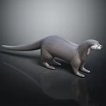Gray Otter 3D Character Model with White Face Standing on Black Smooth Surface and Reflection 3d model