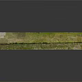 Wooden Stone Decorative Strip Featuring Natural Moss Covered Surface And Rustic Texture
