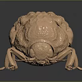 Detailed Bronze Beetle Sculpture With Textured Surface And Black Base Reflection