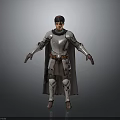 Woman In Medieval Plate Armor With Long Cape Standing In 3D Rendered Character Pose