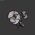 Three White Flowers With Pink Edges Green Stems And Leaves On Dark Background