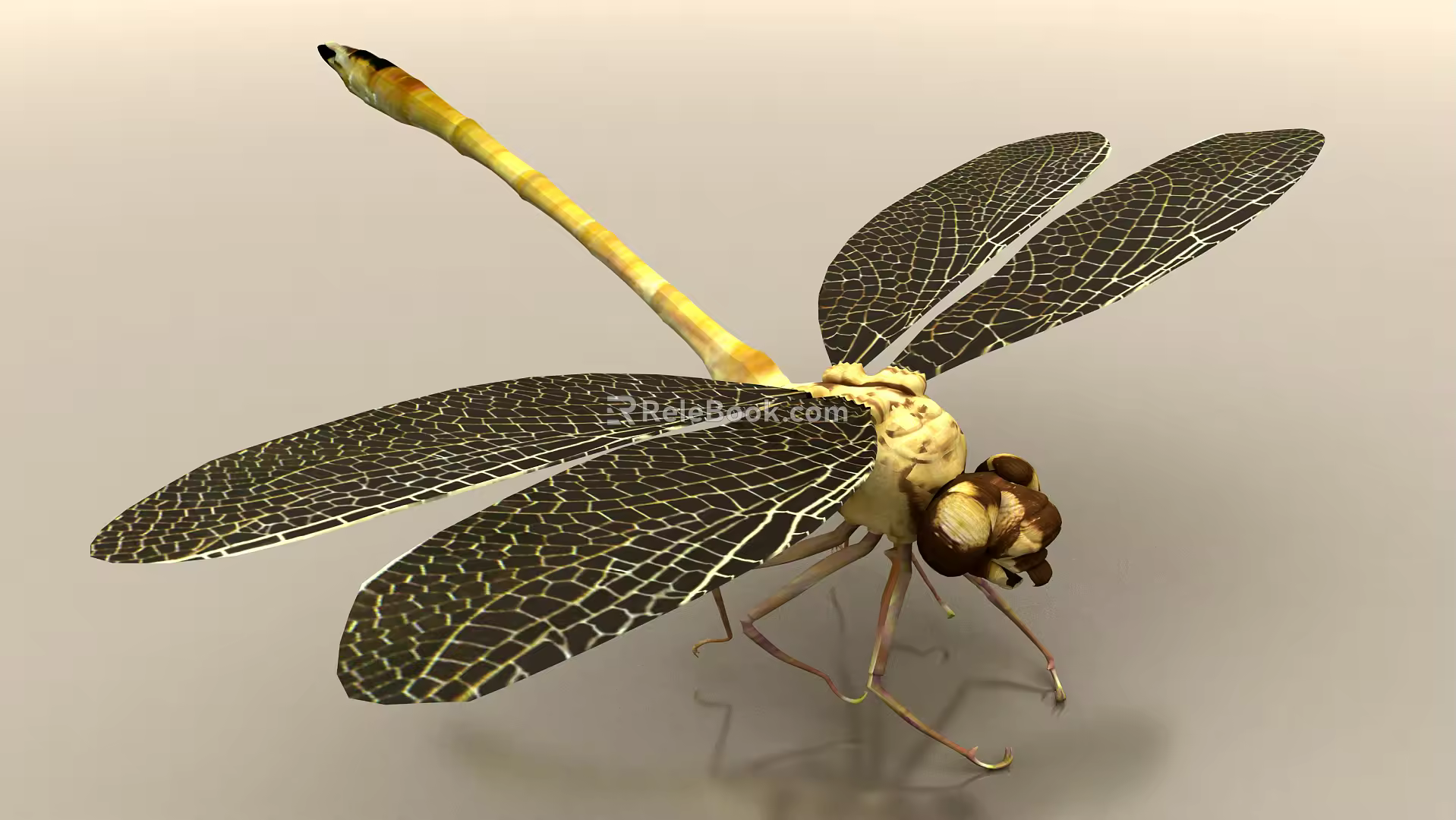 modern dragonfly 3d model